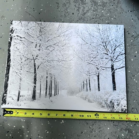 12"x16" Battery Operated Winter Wonderland Canvas Art Like New ON/OFF Switch - Picture 6 of 8